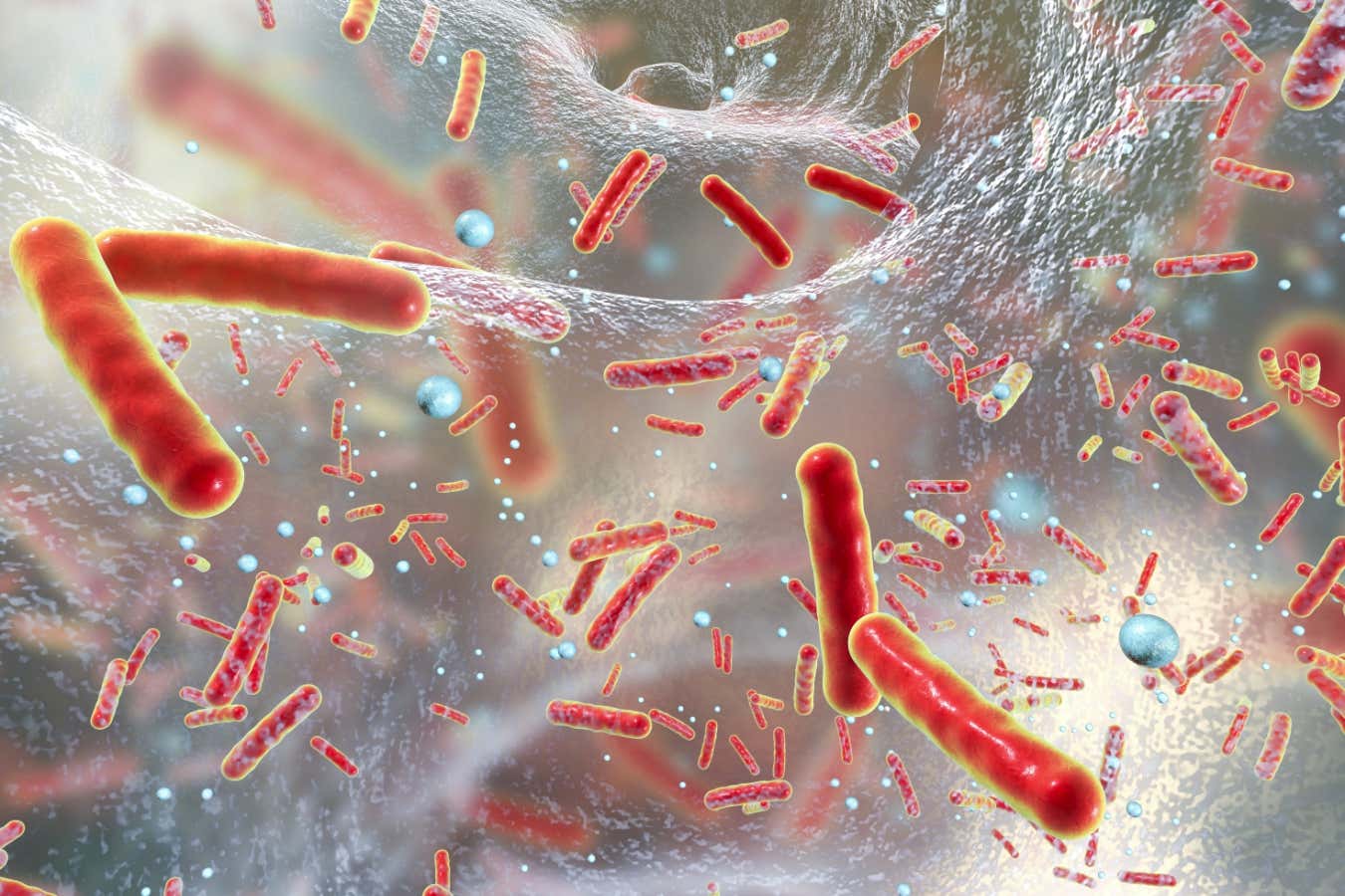 Close up image of antibiotic resistant bacteria inside a biofilm.