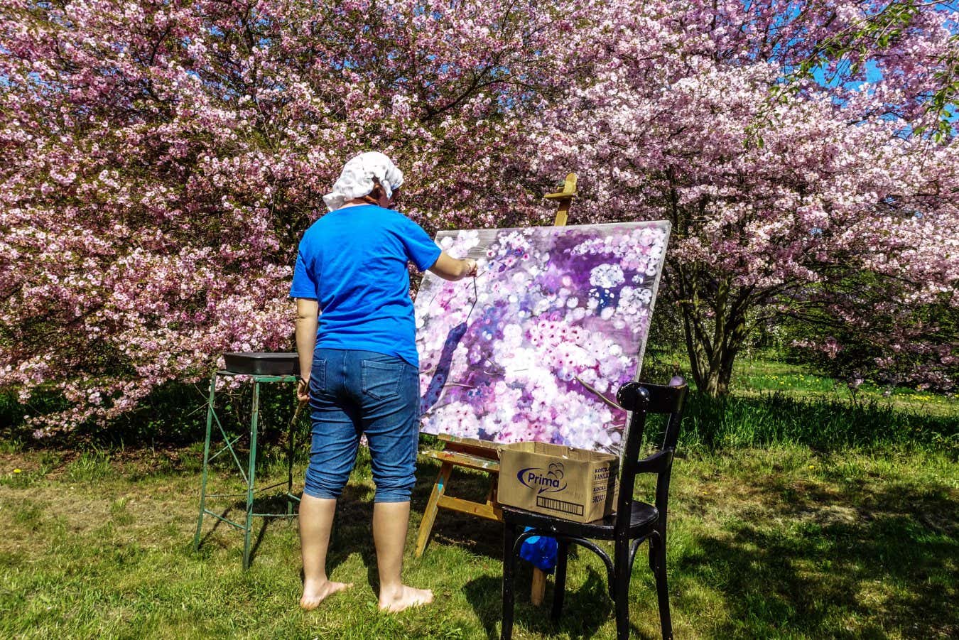 MF2Y15 A woman painting a picture of blossoming cherry trees in a garden