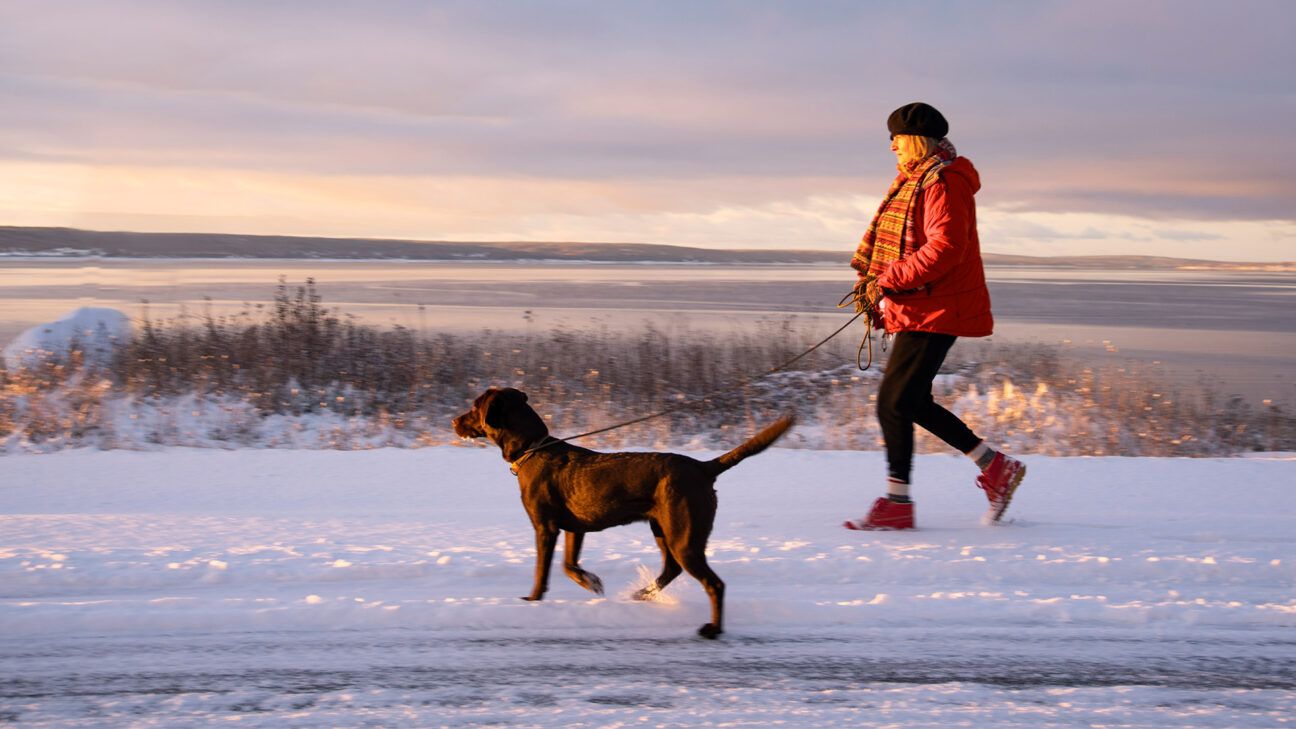 A female walking a dog in the snow.