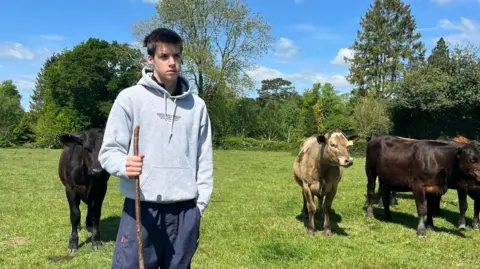 Julia Gregory/BBC A teenager dressed in a hoody and blue trousers is holding a stick  in a lush green farm field.  He has black and brown cows walking behind him.
