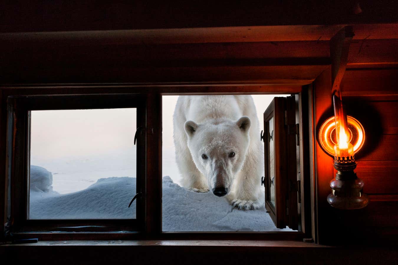 New Scientist. Science news and long reads from expert journalists, covering developments in science, technology, health and the environment on the website and the magazine.