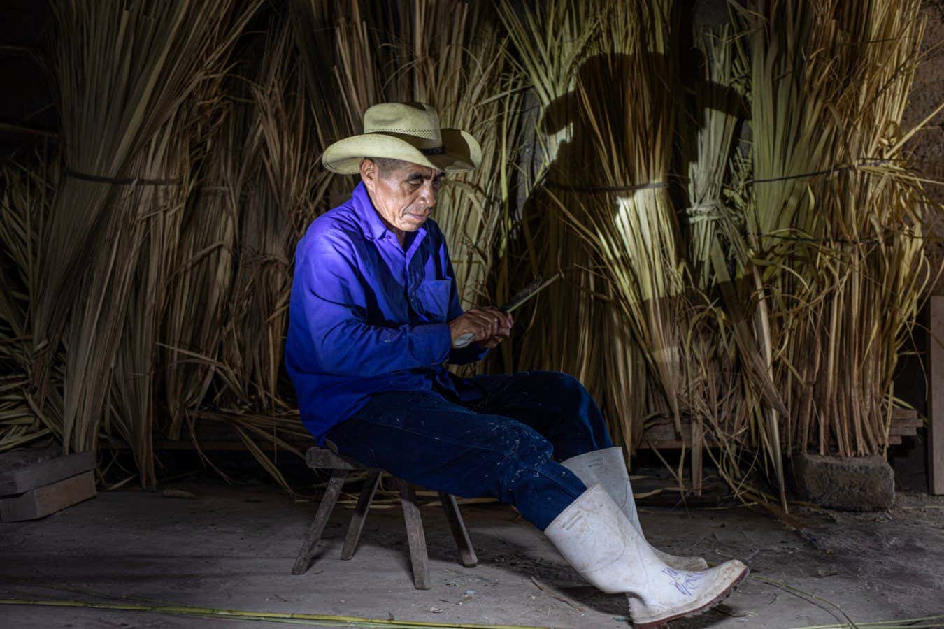 Guatemala - La Ceiba - Valeriano L?pez M?ndez, 61 year old artesan from the Suchiquer community weaves a basket with local leaves.