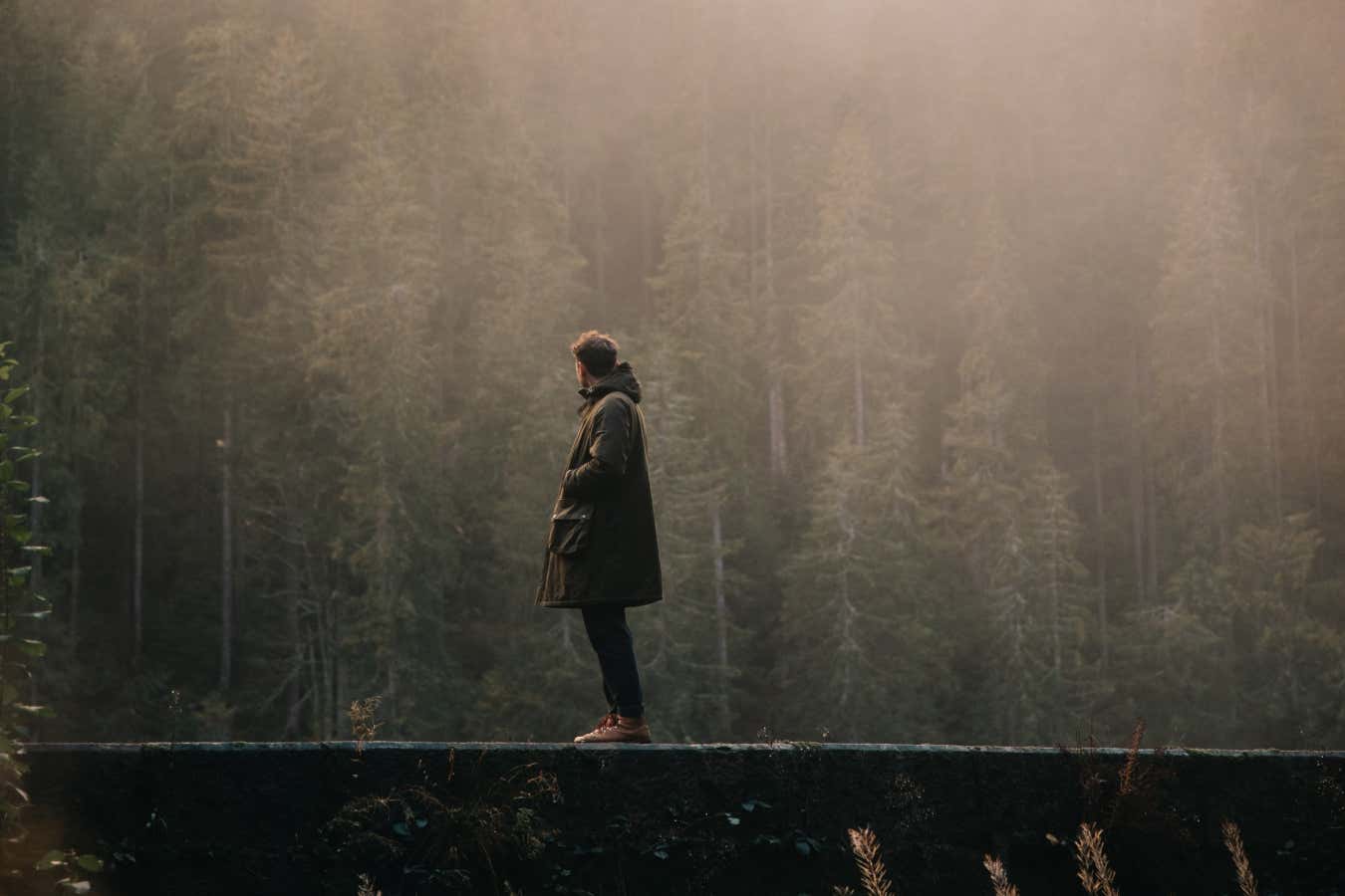 A person in a foggy rainforest inhaling aeronutrients
