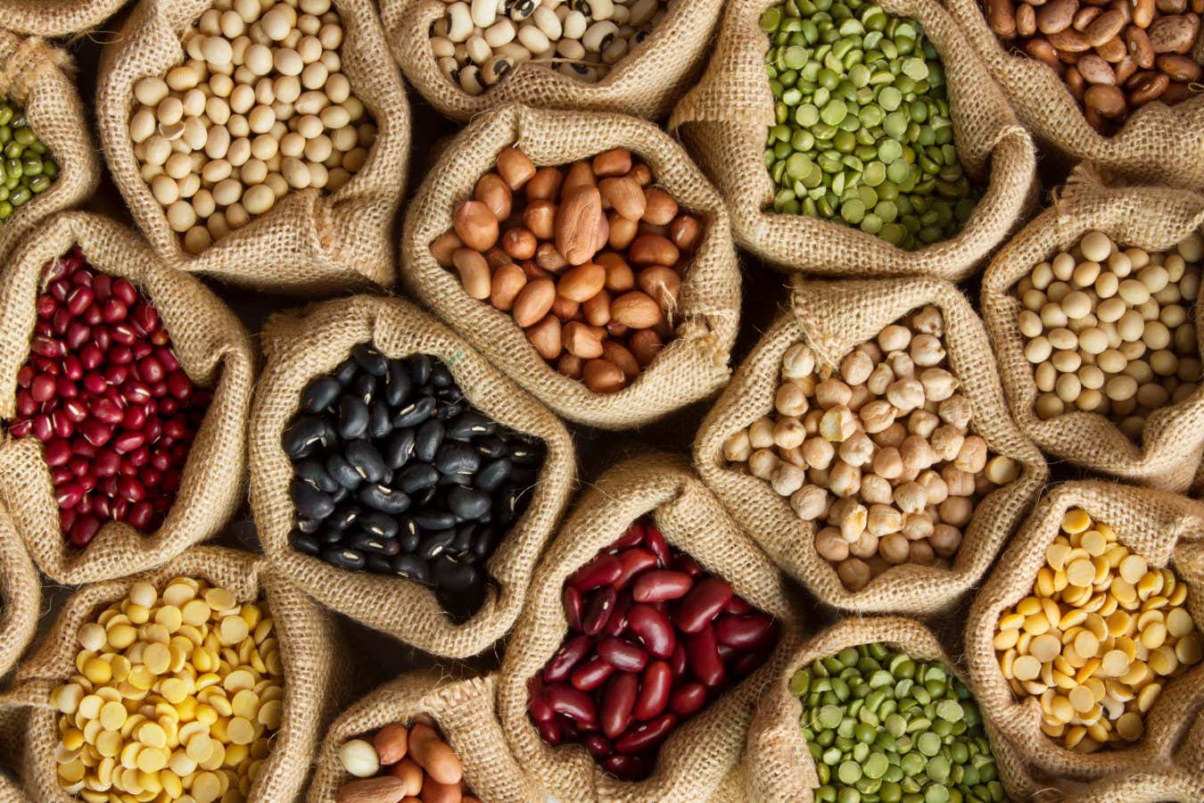 Legumes bean seed in sack, top view; Shutterstock ID 594951725; purchase_order: -; job: -; client: -; other: -