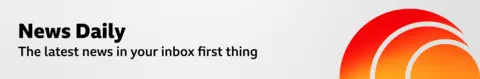 A thin, grey banner promoting the News Daily newsletter. On the right, there is a graphic of an orange sphere with two concentric crescent shapes around it in a red-orange gradient, like a sound wave. The banner reads: 