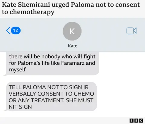 Graphic showing text messages from Kate Shemirani to Ander, saying in all caps: