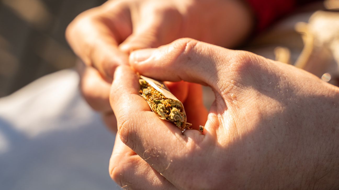 Hand rolling cannabis joint
