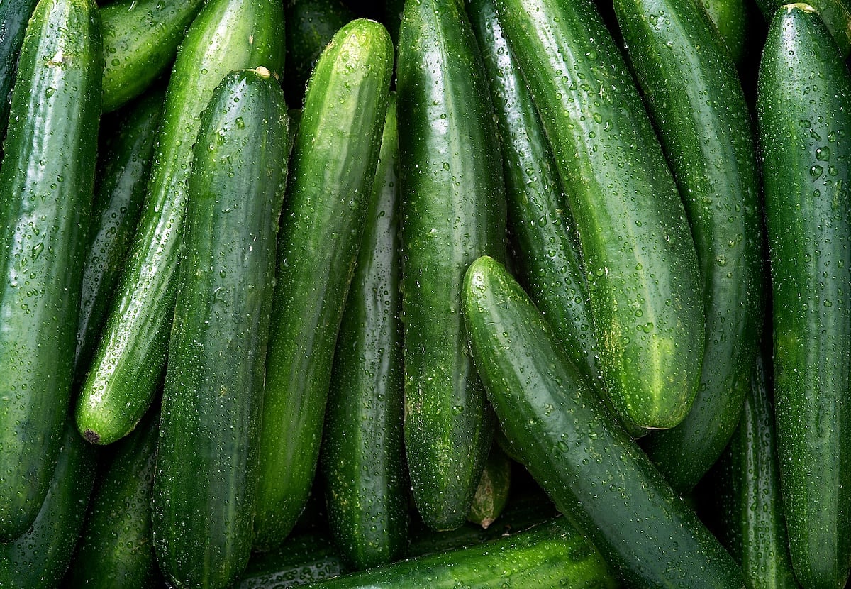 News Picture: Cucumber-Linked Salmonella Outbreak Sickens Dozens Across 18 States