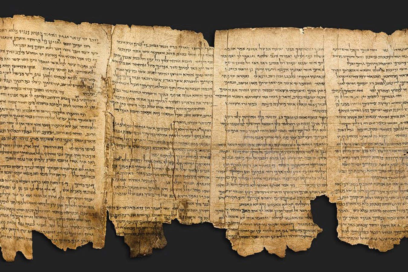 DGYATR 5503. PART OF THE ISAIAH SCROLL, THE LONGEST AND OLDEST (C. 100 B.C.) OF THE DEAD SEA SCROLLS FOUND IN QUMRAN.