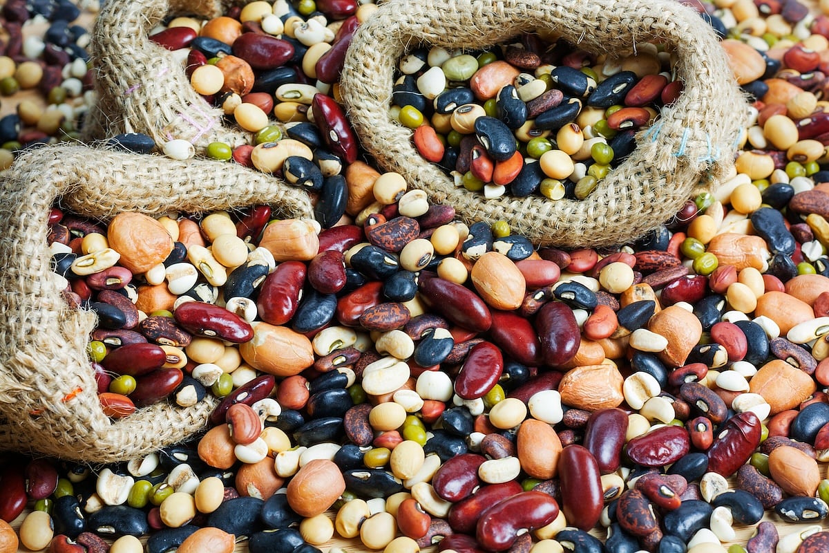 News Picture: How Can A Daily Cup Of Beans Improve Your Health?