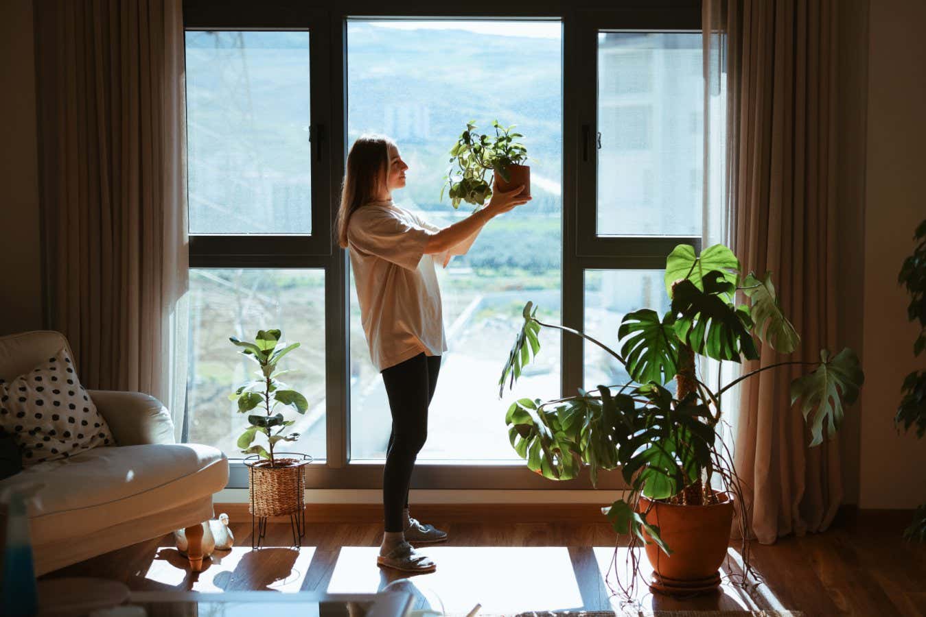 In Emily Buchanan's Send Flowers, a woman's dead boyfriend is reincarnated as a house plant