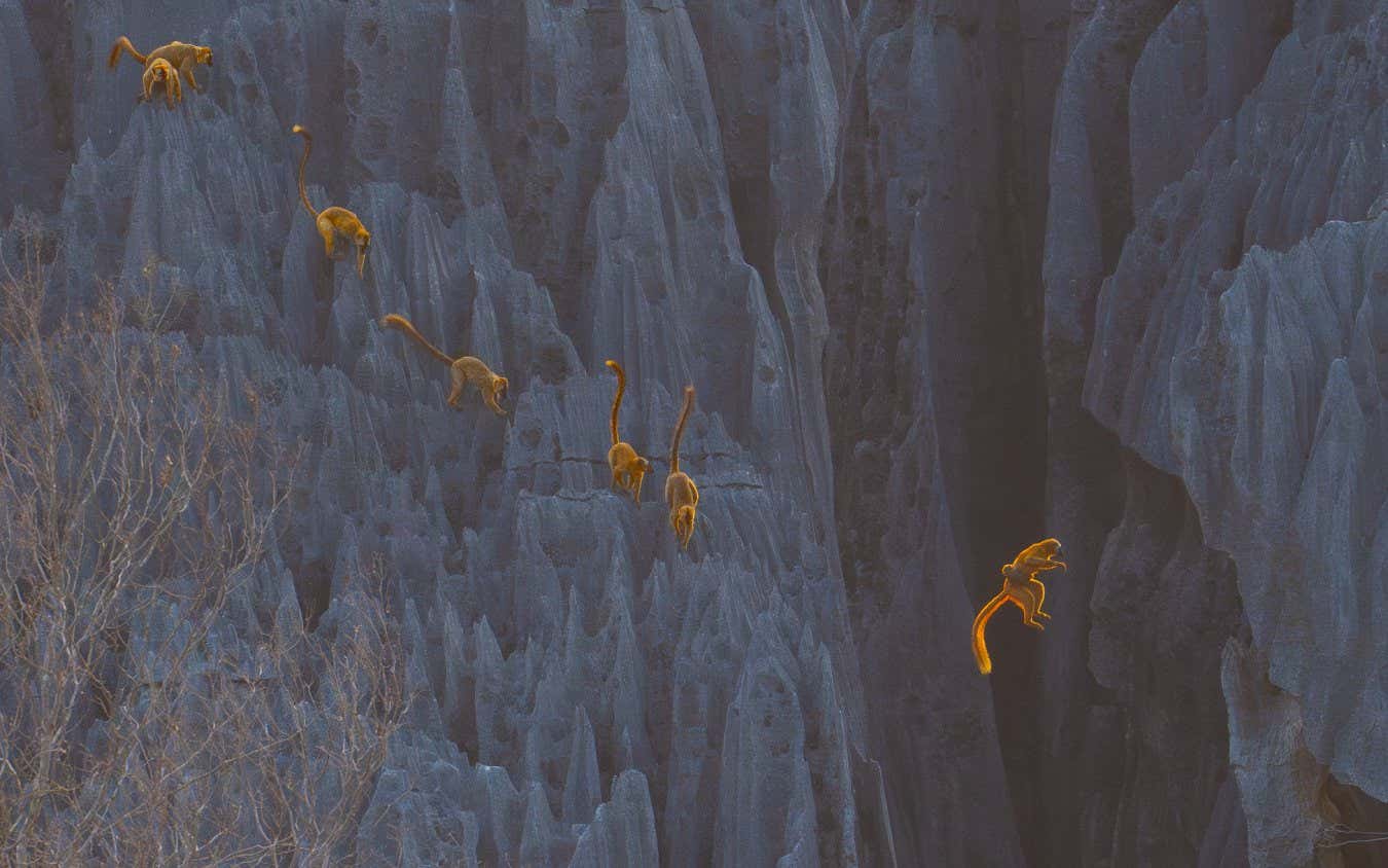 Leap of Faith by Zhou Donglin