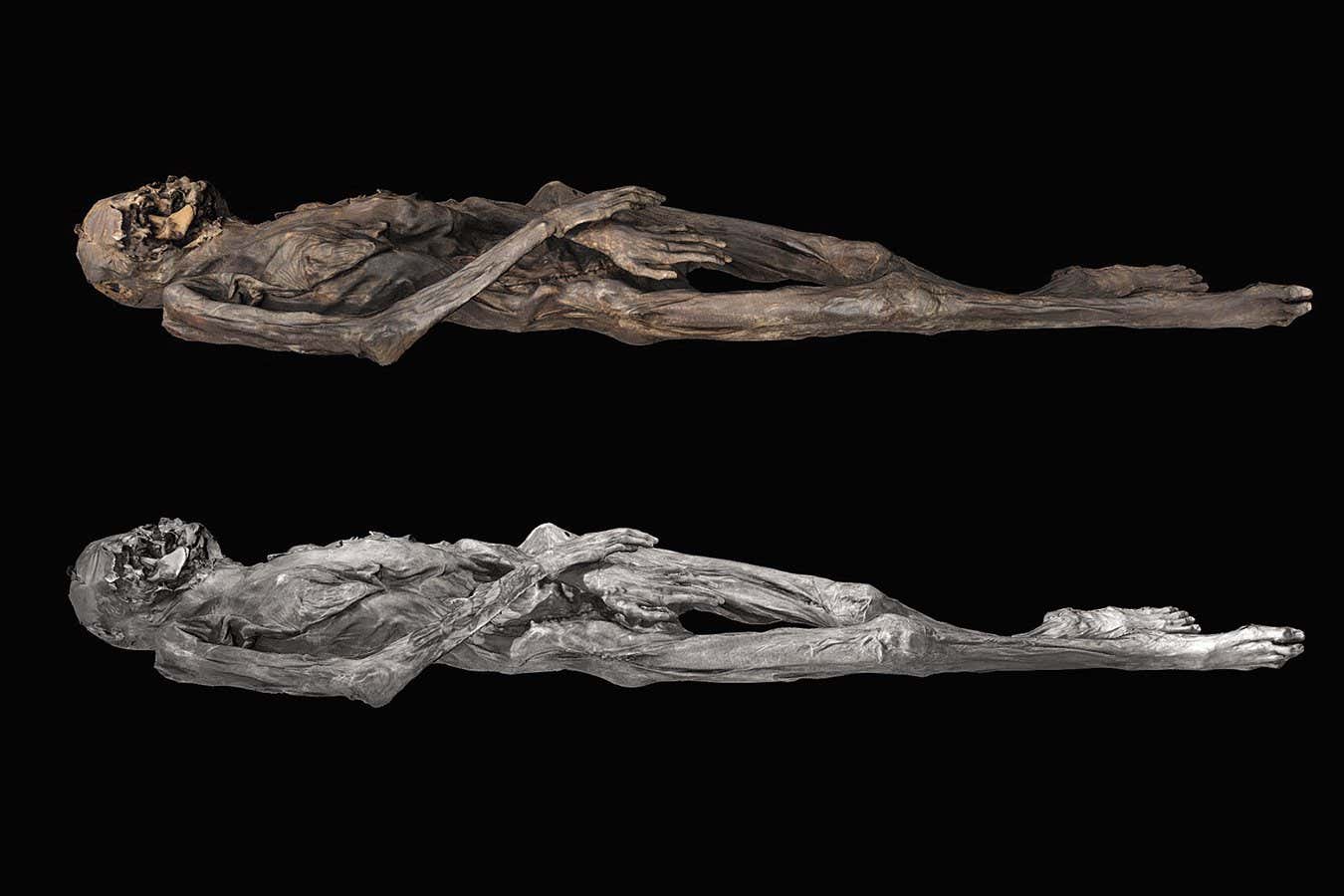 A 3D model of the tattooed mummy. The top image features textures derived from photographs that were captured using light visible to the human eye, while the bottom image's textures were derived from near-infrared photography, which we cannot see