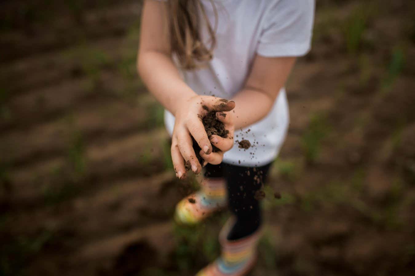 KYY2TF Low section of girl holding soil while standing on field
