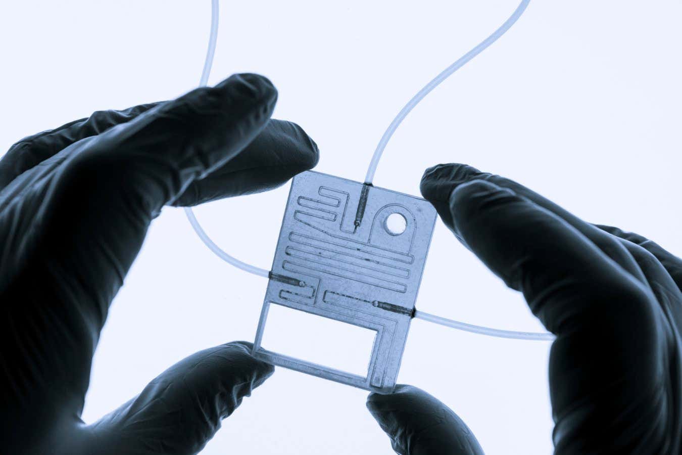 Organ-on-a-chip. This is a microfluidic device that simulates biological organs.