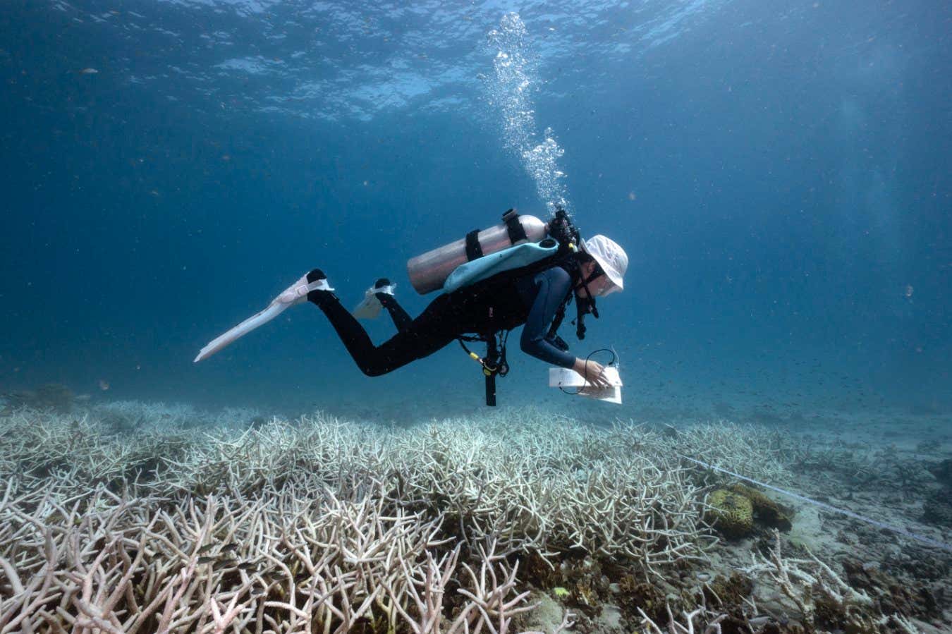 This underwater photo taken on June 14, 2024 shows 14-year-old Nannalin 