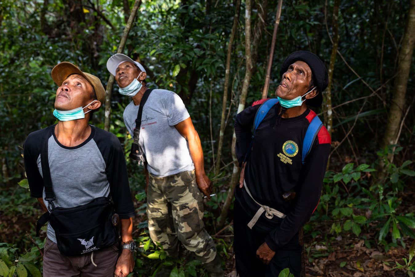 Volunteers observe a Javan slow loris during the habituation process at Ujung Kulon National Park in Indonesia's Banten province on August 14, 2025.
