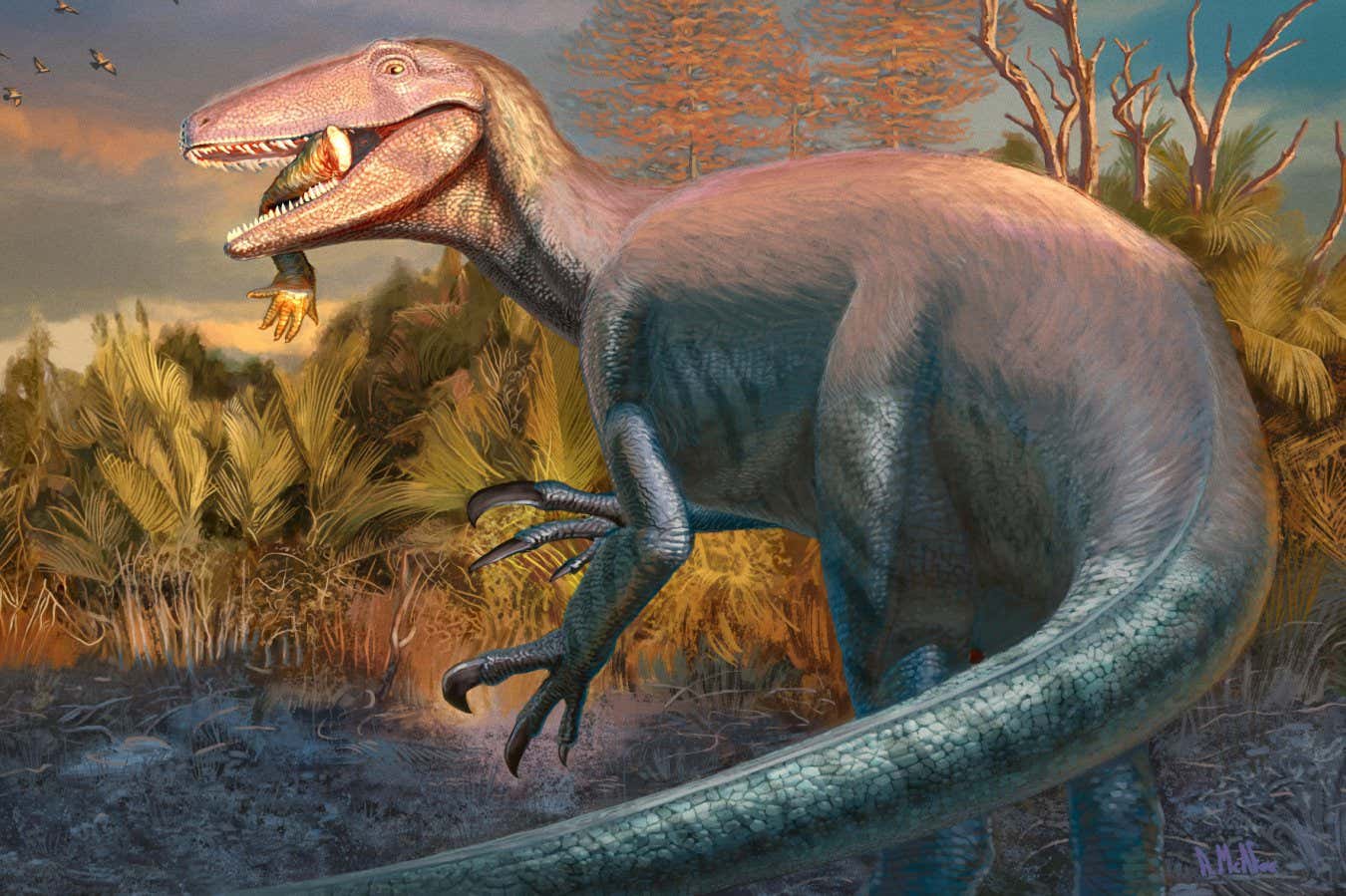 Artist's reconstruction of dinosaur Joaquinraptor casali