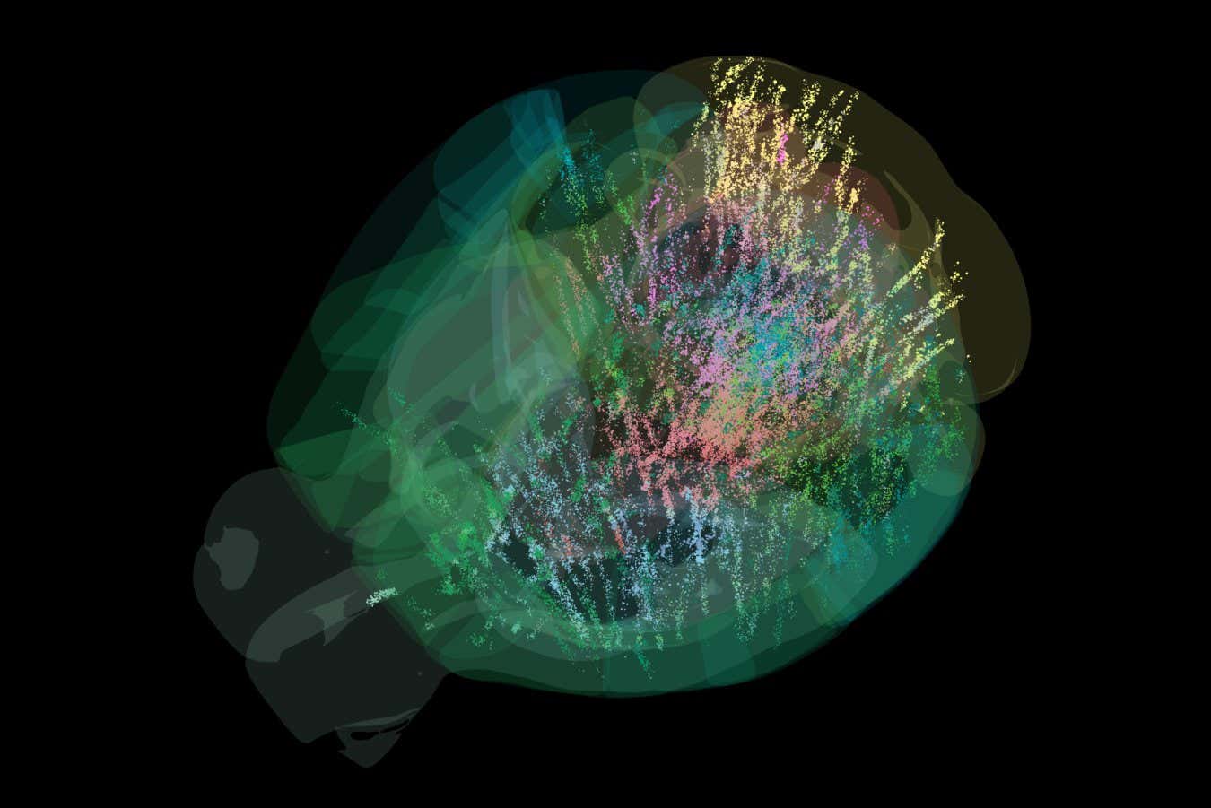 A map of a mouse's brain showing 75,000 neurons