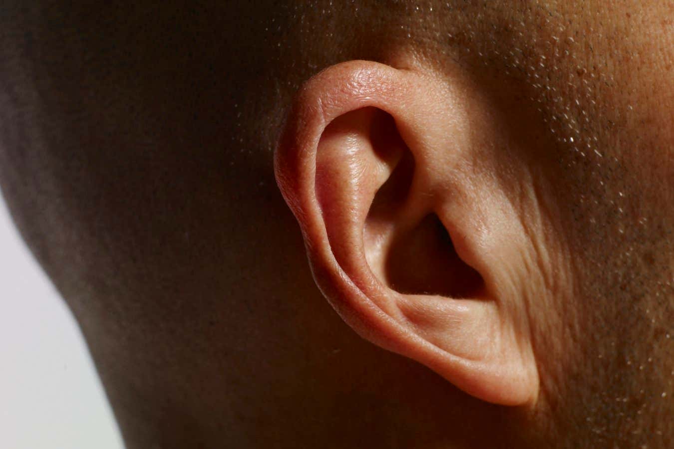 Close-up of man's ear