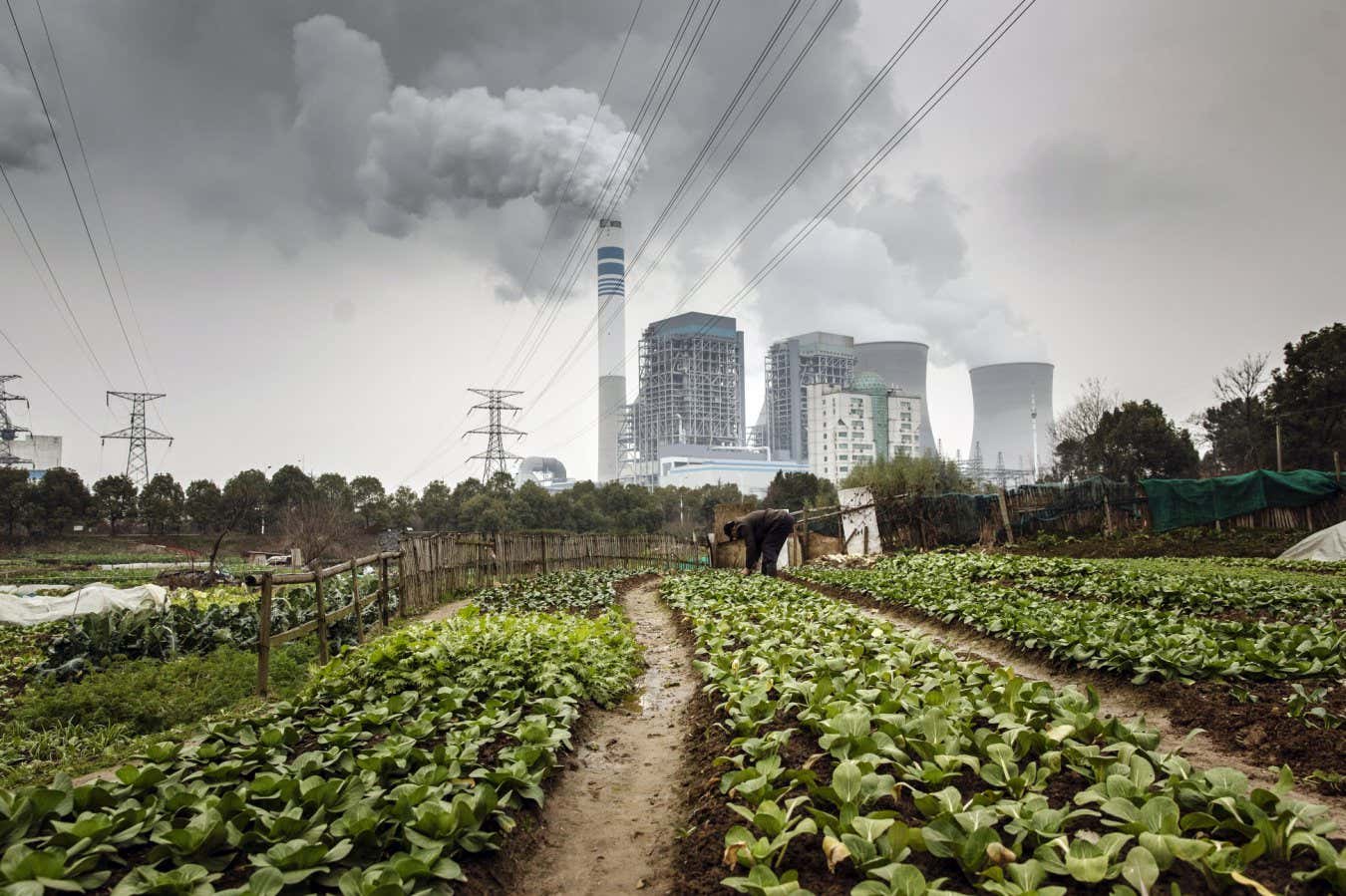 A man tends to vegetables growing in a field as emissions rise from cooling towers at a coal-fired power station in Tongling, Anhui province, China, on Wednesday, Jan. 16, 2019. China's economy expanded at its weakest pace since 2009, according to figures Monday, with gross domestic product rising 6.4 percent in the fourth quarter from a year earlier. Photographer: Qilai Shen/Bloomberg via Getty Images