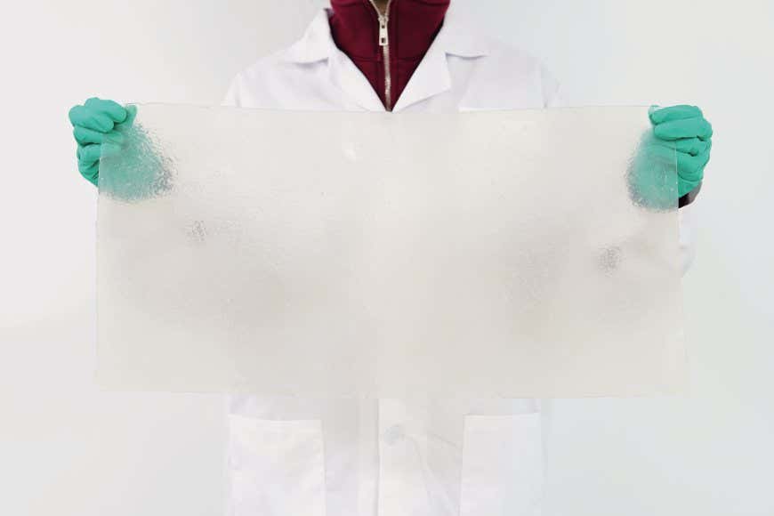 New Scientist. Science news and long reads from expert journalists, covering developments in science, technology, health and the environment on the website and the magazine.