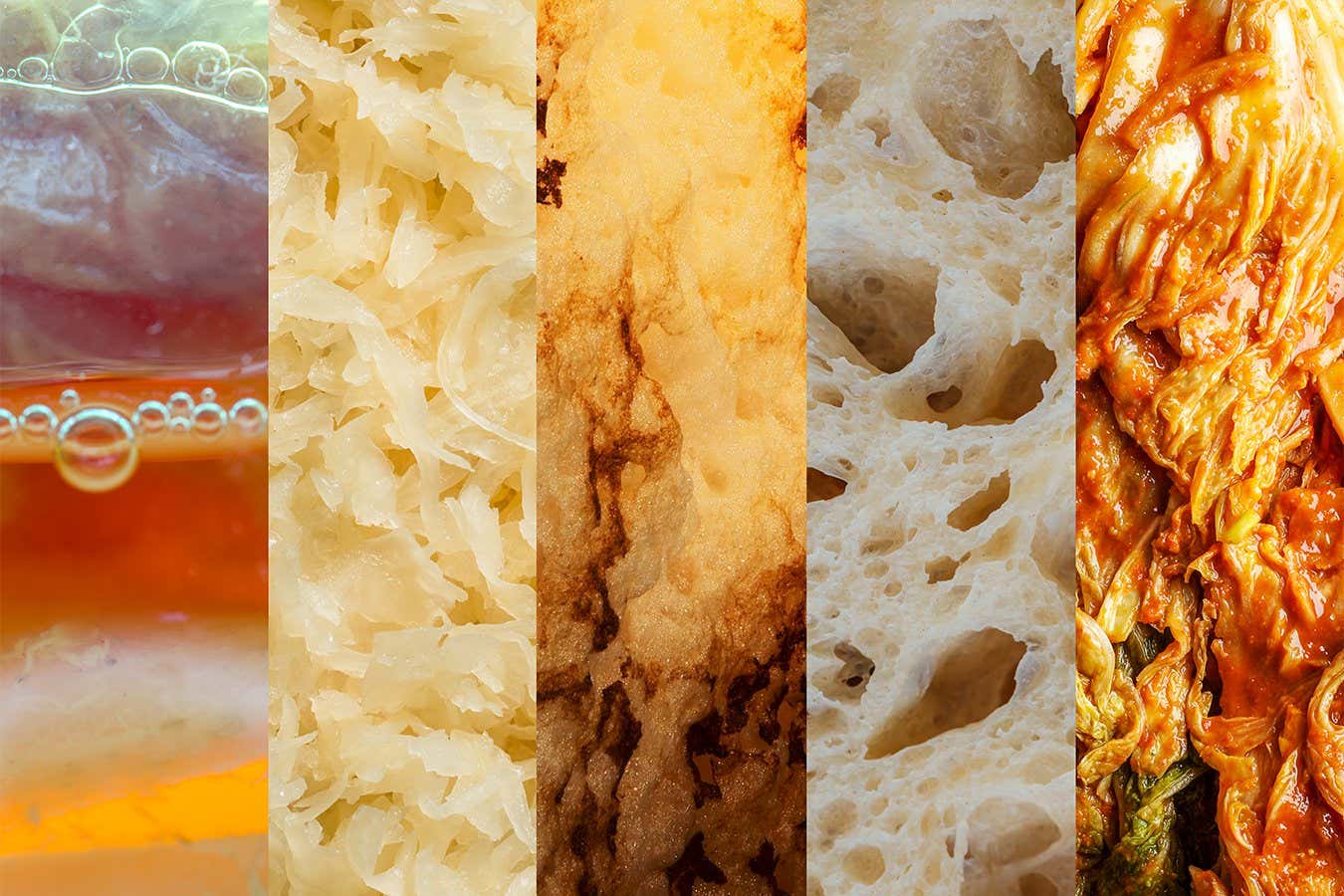 New Scientist. Science news and long reads from expert journalists, covering developments in science, technology, health and the environment on the website and the magazine.