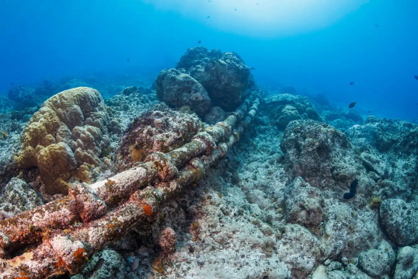 Communication cables on the sea floor