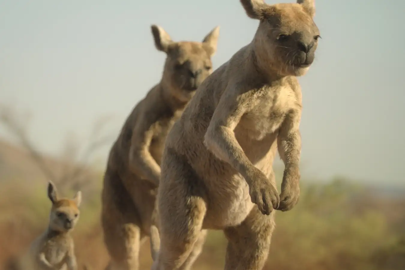 New Scientist. Science news and long reads from expert journalists, covering developments in science, technology, health and the environment on the website and the magazine.