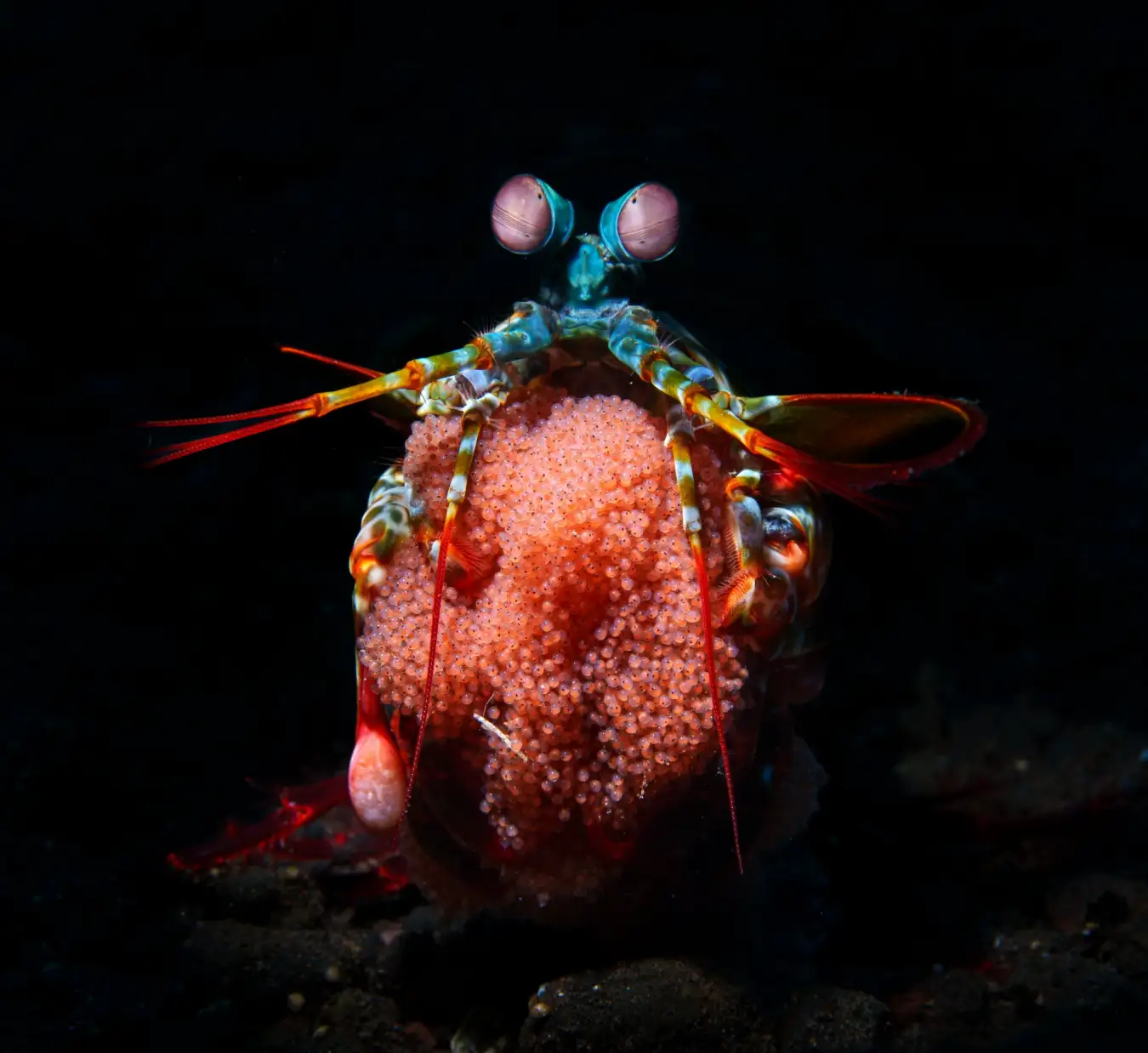 New Scientist. Science news and long reads from expert journalists, covering developments in science, technology, health and the environment on the website and the magazine.