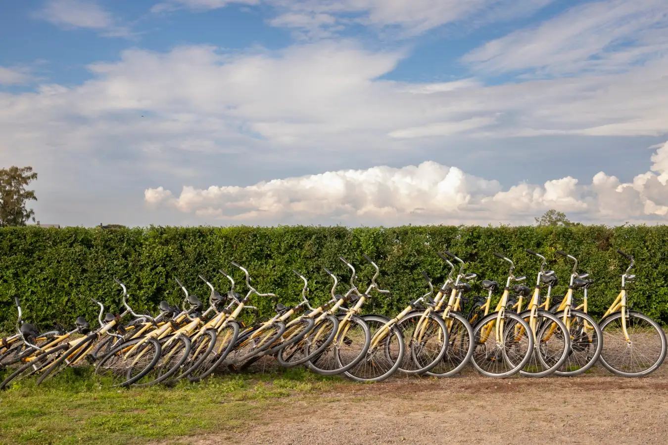 Bicycles fall over like dominoes