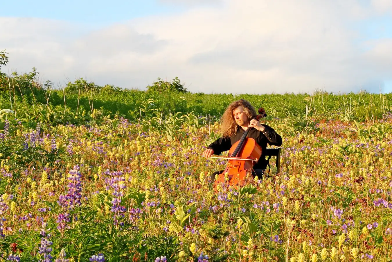 C68WC7 Man playing cello in a field of wildflowers with blue sky and clouds in the background