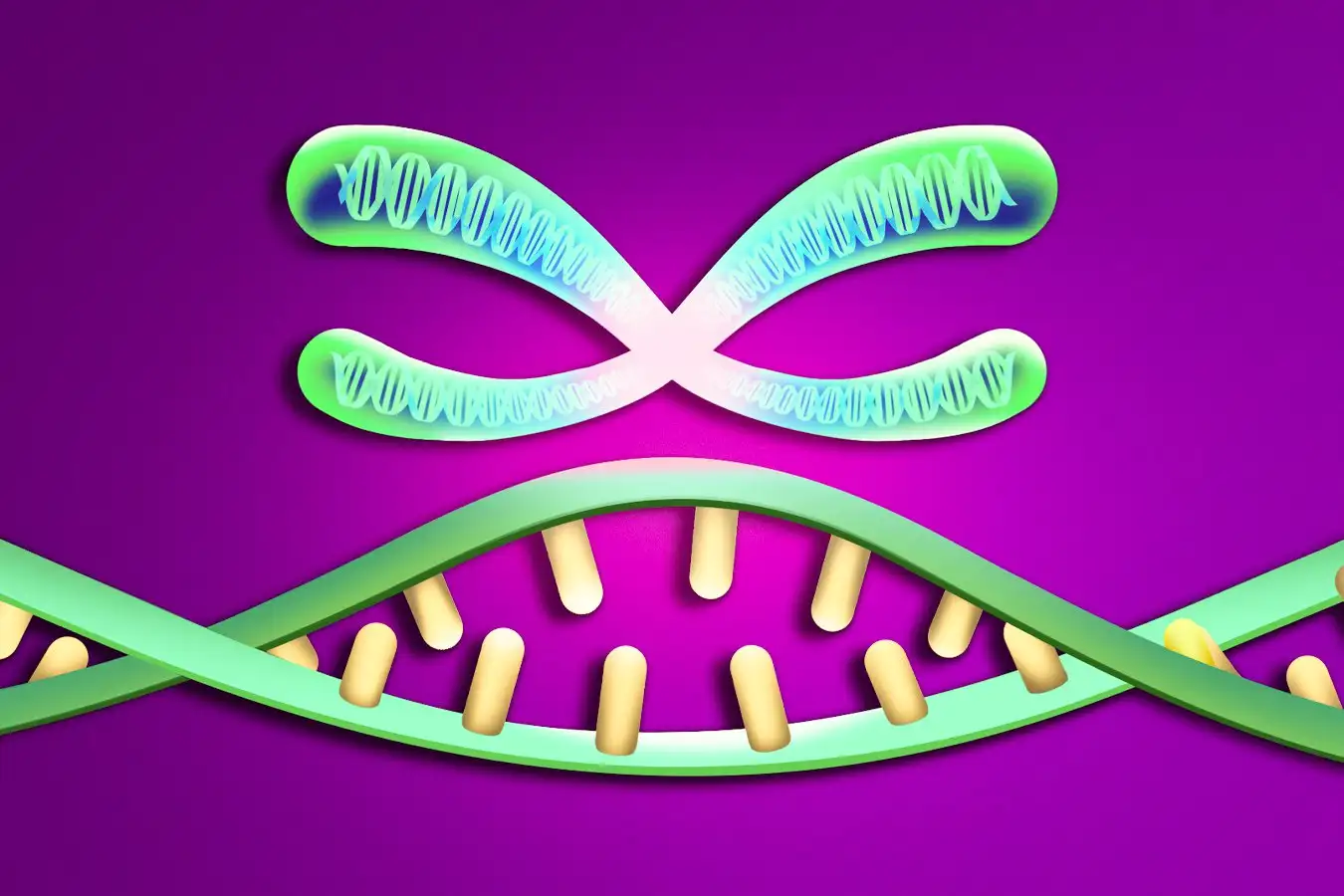 New Scientist. Science news and long reads from expert journalists, covering developments in science, technology, health and the environment on the website and the magazine.