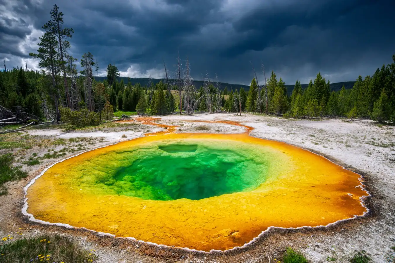 A prismatic geothermal vent at Yellowstone park. It's a green pool, ringed with yellow and orange.