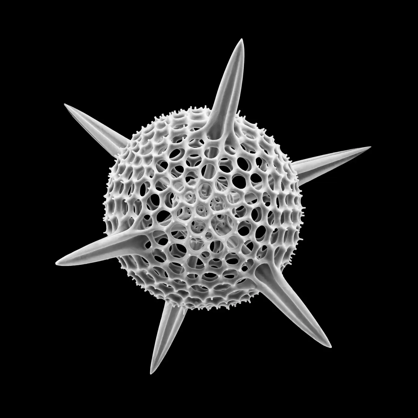 New Scientist. Science news and long reads from expert journalists, covering developments in science, technology, health and the environment on the website and the magazine.