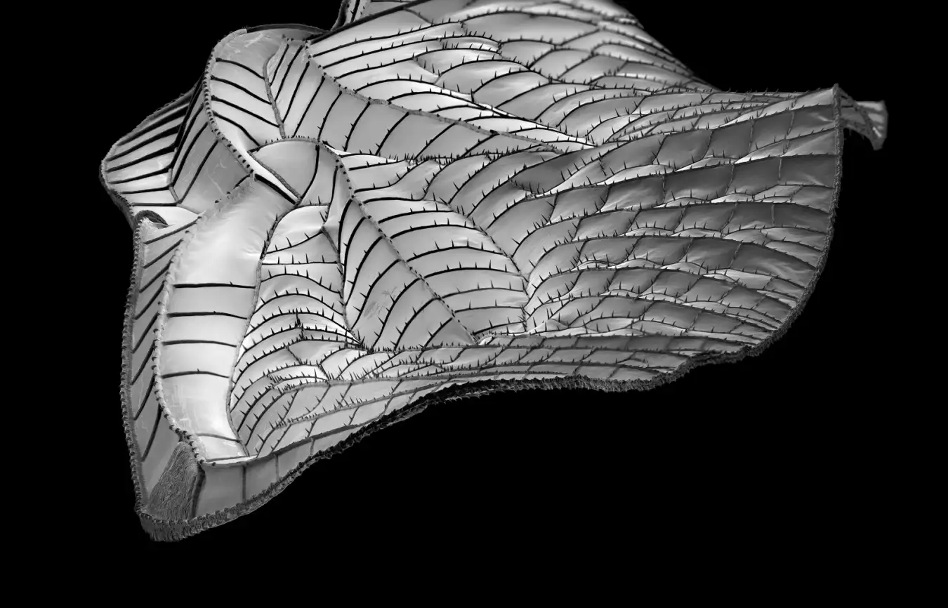 New Scientist. Science news and long reads from expert journalists, covering developments in science, technology, health and the environment on the website and the magazine.