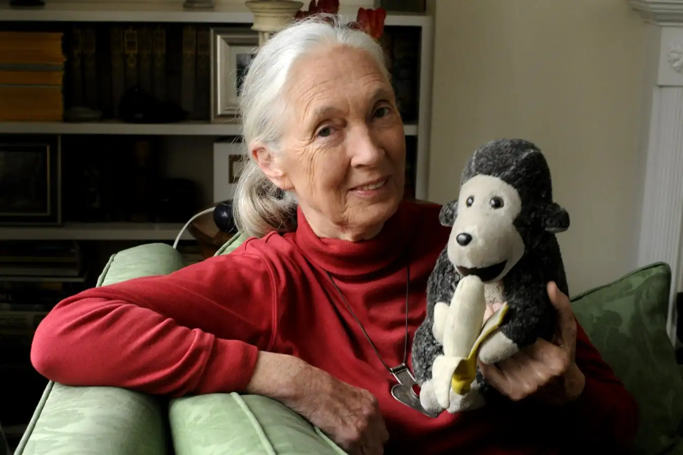 Mandatory Credit: Photo by Stuart Clarke/Shutterstock (1166741b) Dr Jane Goodall with her Chimp mascot Dr Jane Goodall DBE, Britain - Mar 2010 Dr Jane Goodall DBE who has studied primates for the last 50 years