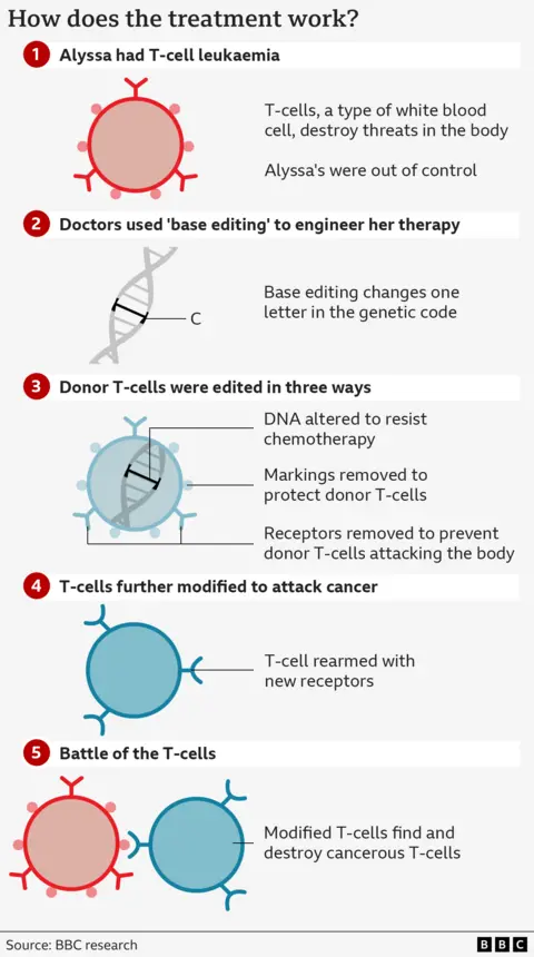 A five-step process showing how the treatment works. 1 shows a red circular cell with Y-shaped structures on the outside representing the cancerous T-cells. 2 shows a twirl of DNA with one