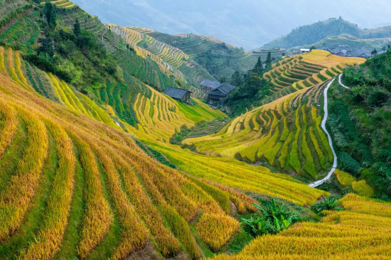 Rice terraces in the village of Ping An, Longsheng county, Guangxi province, China