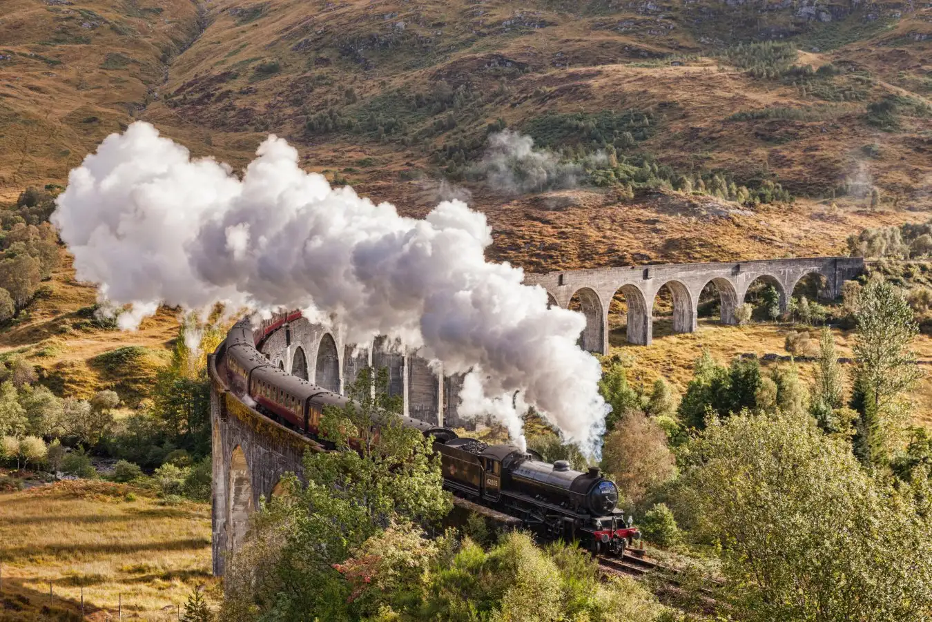 The Jacobite steam train