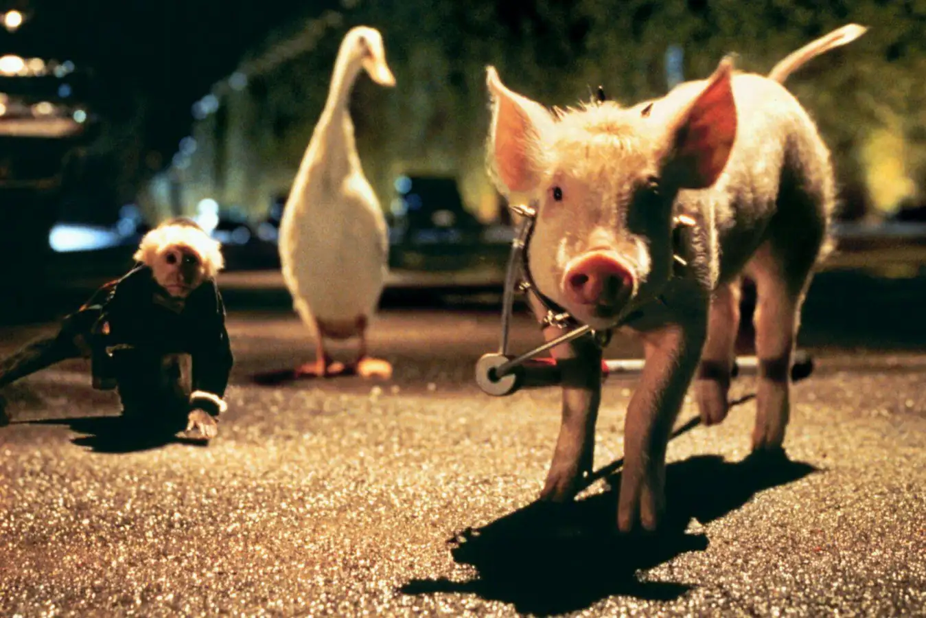 New Scientist. Science news and long reads from expert journalists, covering developments in science, technology, health and the environment on the website and the magazine.