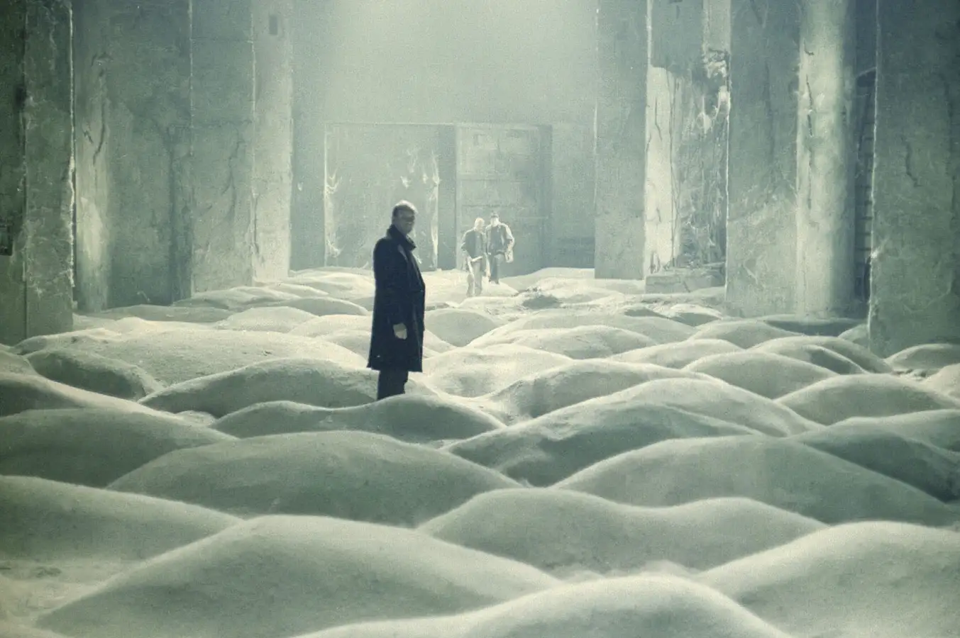 New Scientist. Science news and long reads from expert journalists, covering developments in science, technology, health and the environment on the website and the magazine.