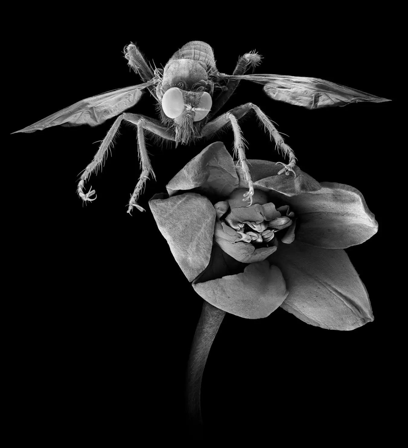 New Scientist. Science news and long reads from expert journalists, covering developments in science, technology, health and the environment on the website and the magazine.