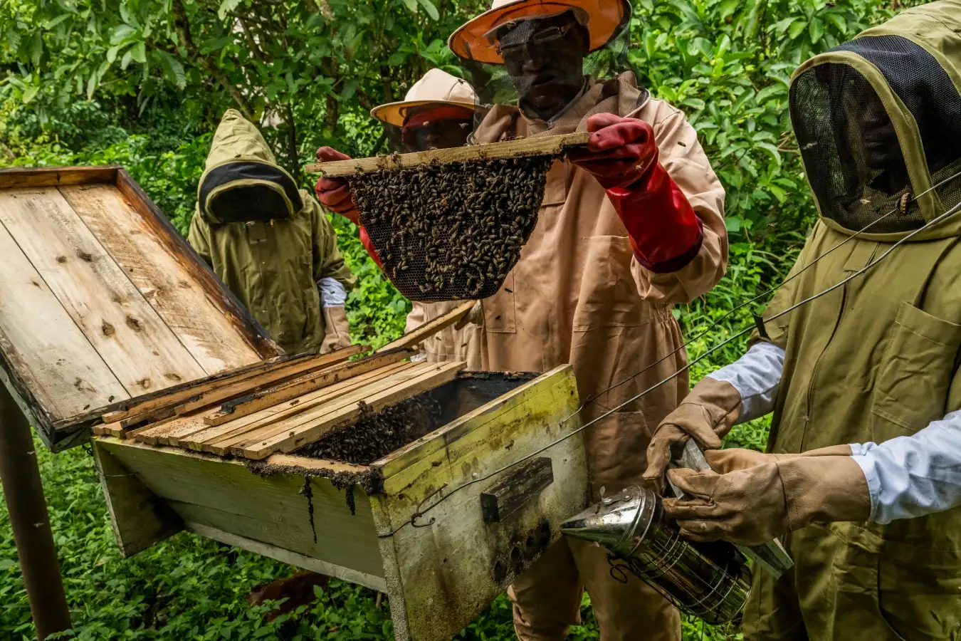 New Scientist. Science news and long reads from expert journalists, covering developments in science, technology, health and the environment on the website and the magazine.
