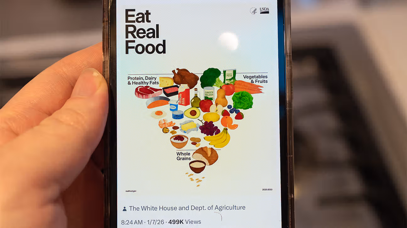 New inverted food pyramid on smartphone