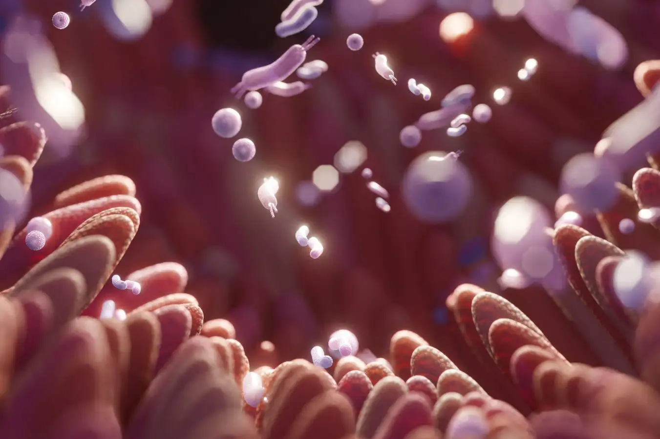 Artist's impression of the gut lining