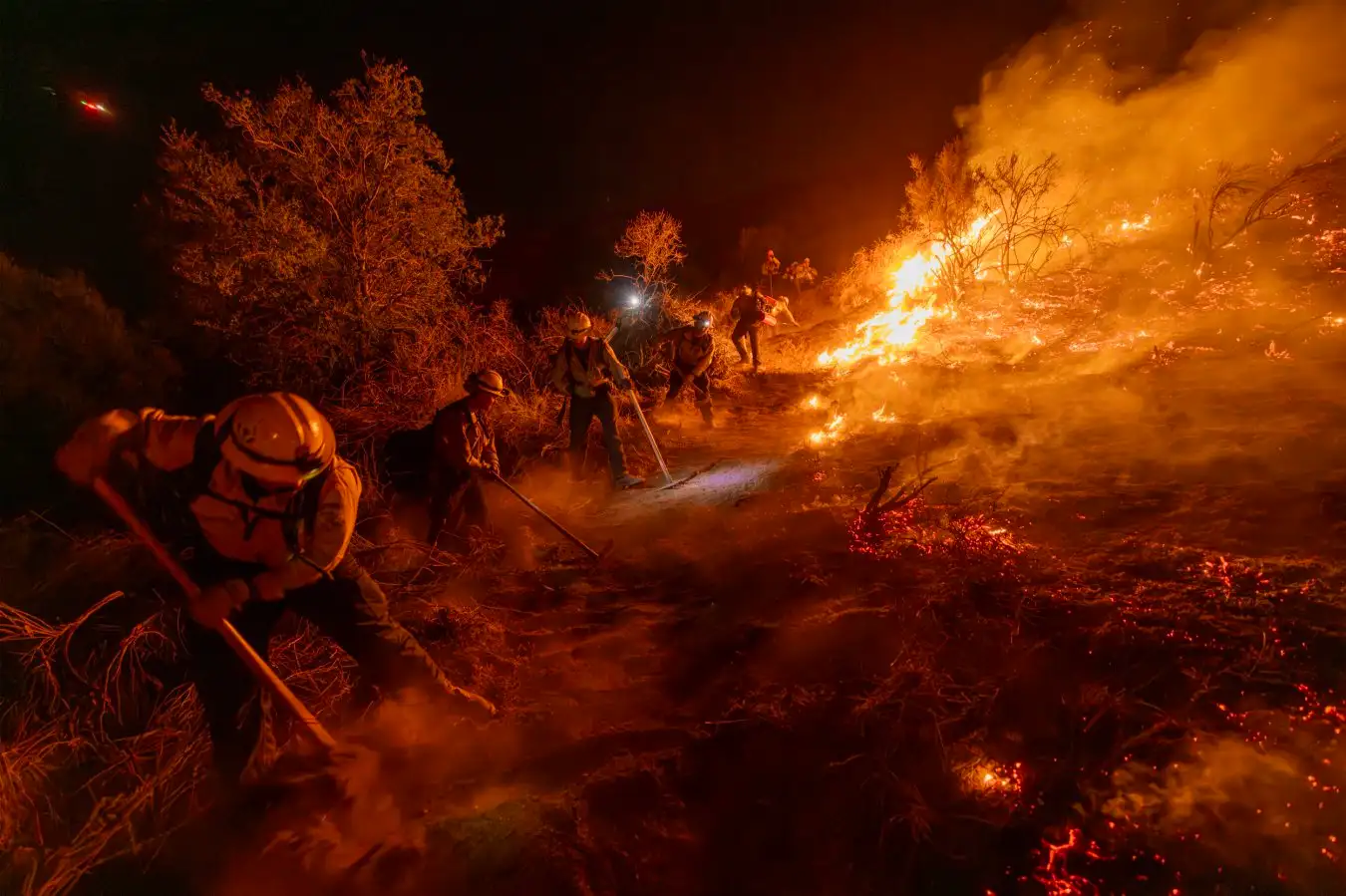 Wildfires in California in January 2025
