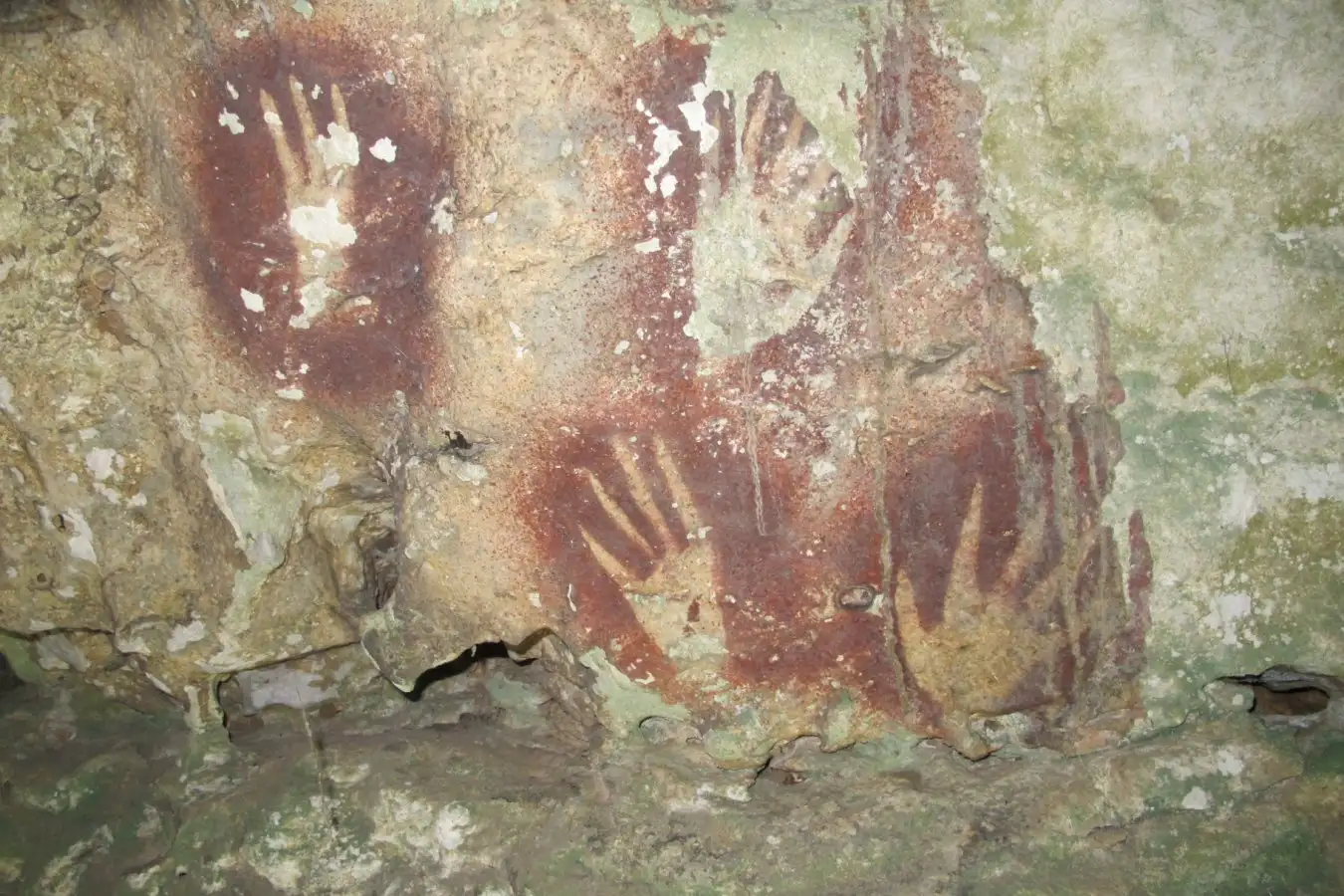 The Indonesian archipelago is host to some of the earliest known rock art in the world. Rock art from at least 67,800 years ago in Sulawesi, Indonesia. Narrowed finger hand stencils from Leang Jarie, Maros, Sulawesi