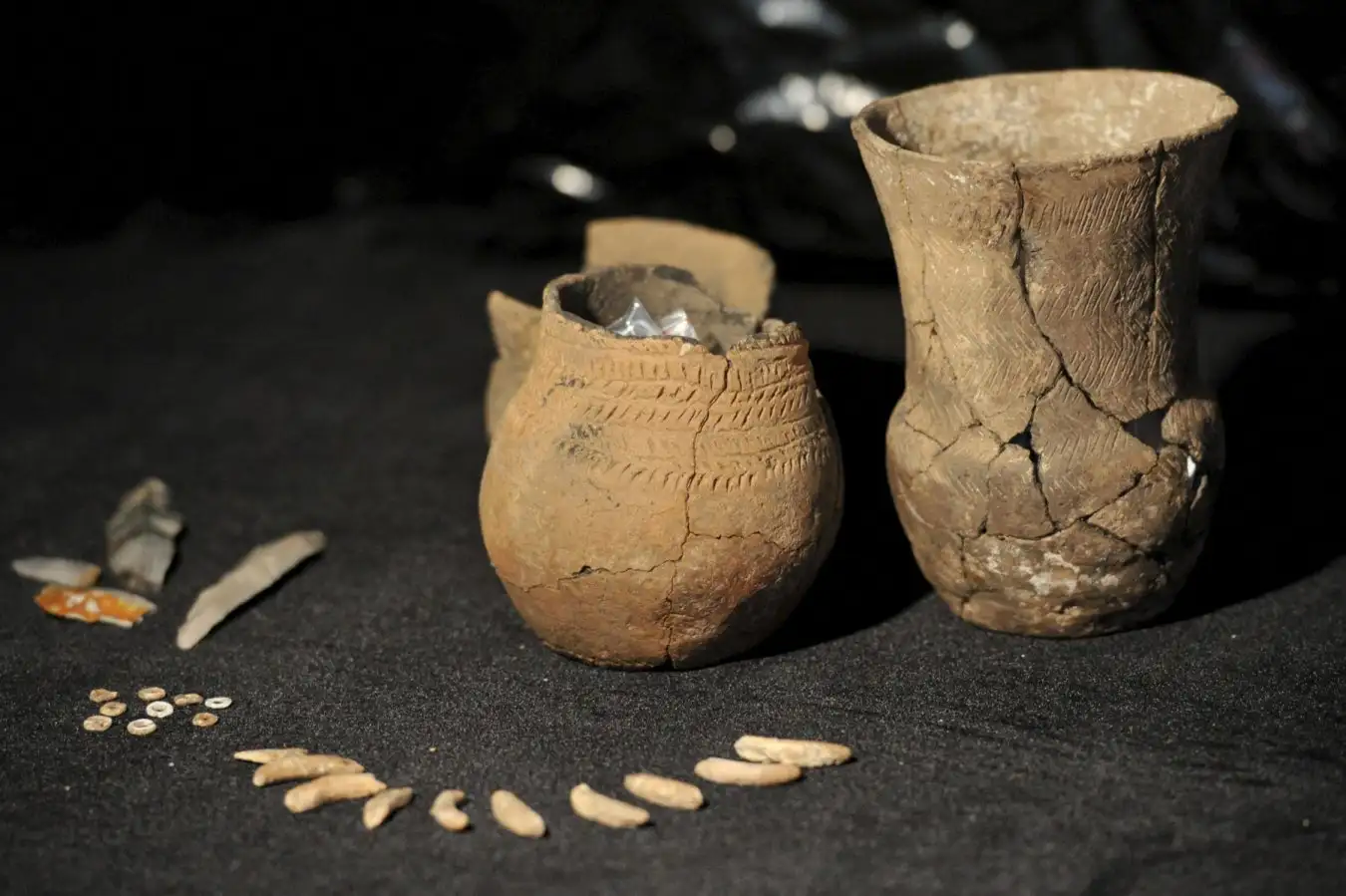 DAFN3W Restored vessels from the Bell Beaker culture are on display in?Predel, Germany, 05?December 2011. Saxony-Anhalt's State Office for the Preservation of Historical Monuments and Archaeology presented the results of the dig at the Profen mine. Photo: Peter Endig