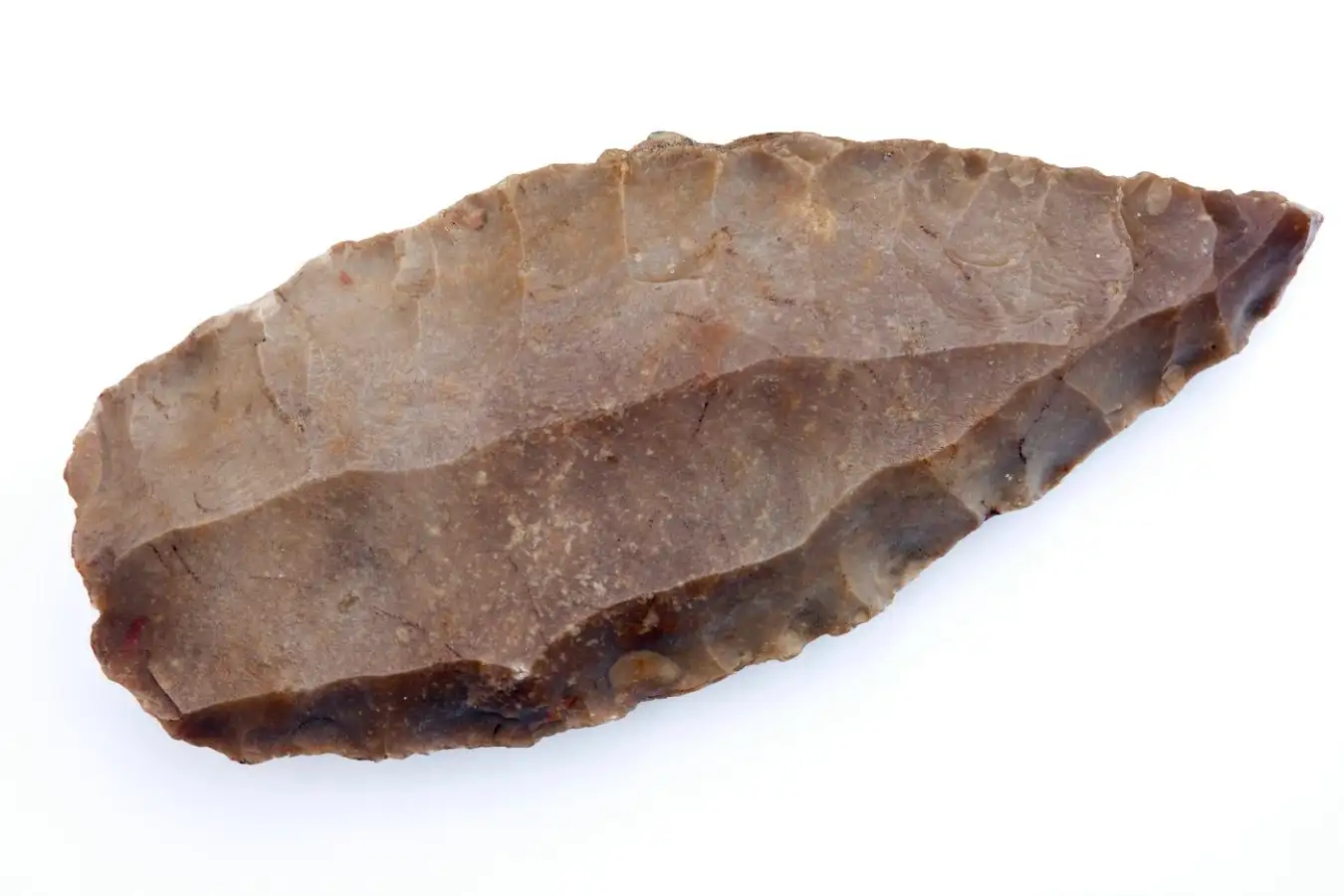 A stone hand axe made by early humans. Sophisticated dexterity was needed to make complex stone tools